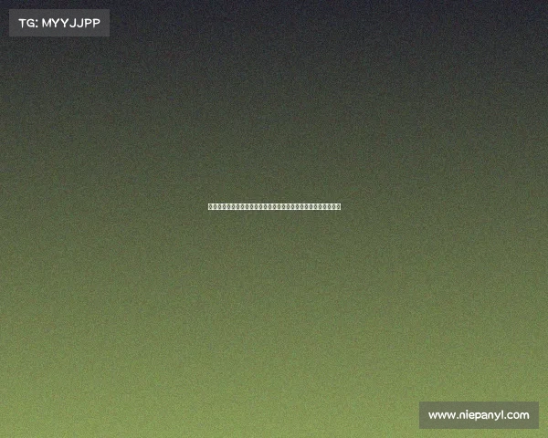 足球文化的传承与发展:从草根到职业的全球影响与本土特色探索